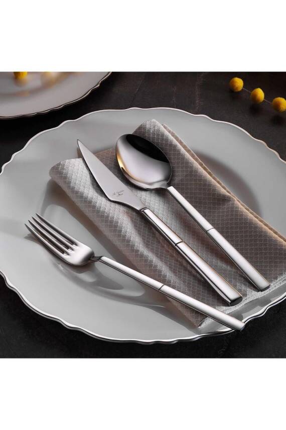 Aryıldız 18766 Gusto Prestige 89 Parça Çatal Kaşık Bıçak Takımı - 1